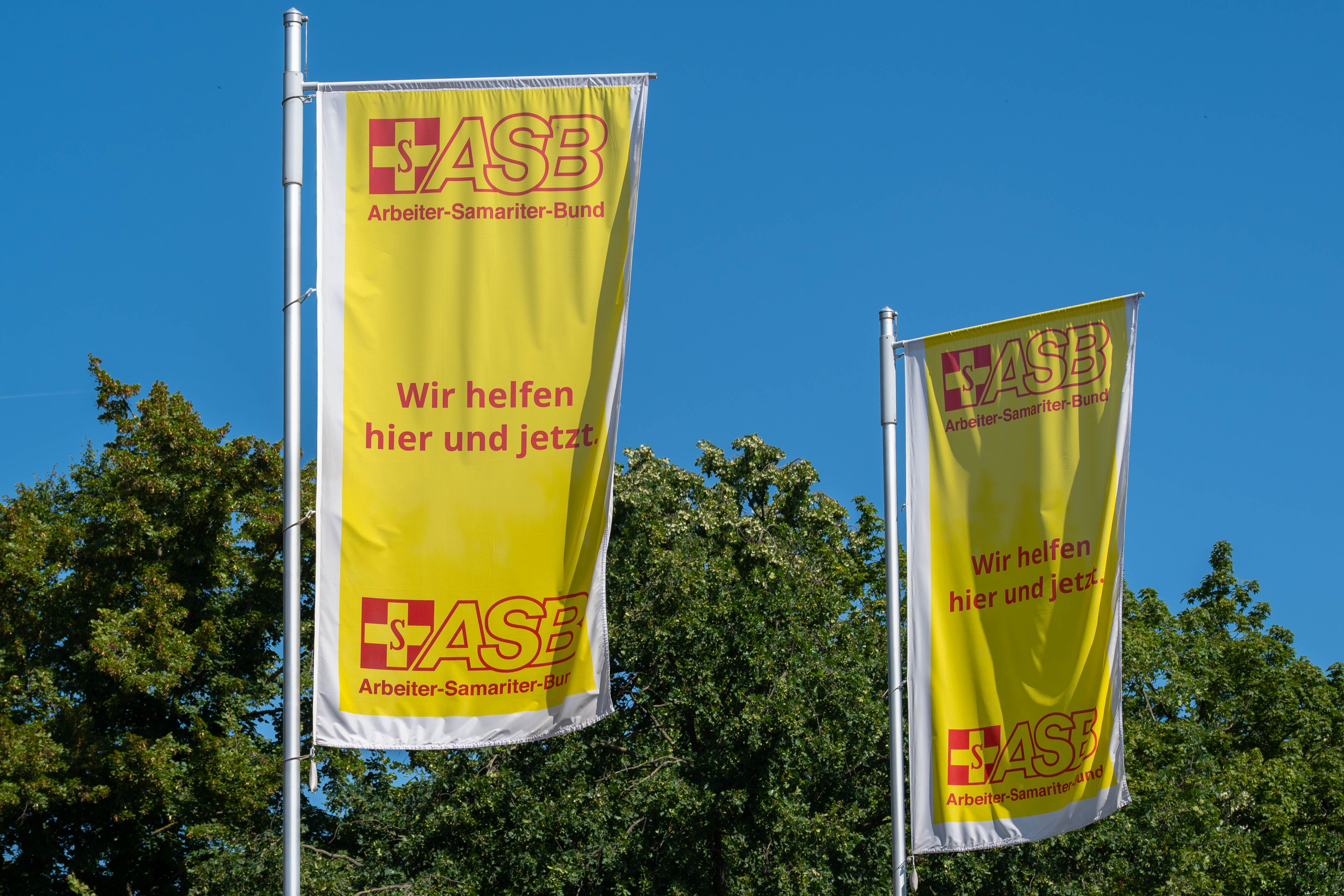 DSC_6576-2.jpg