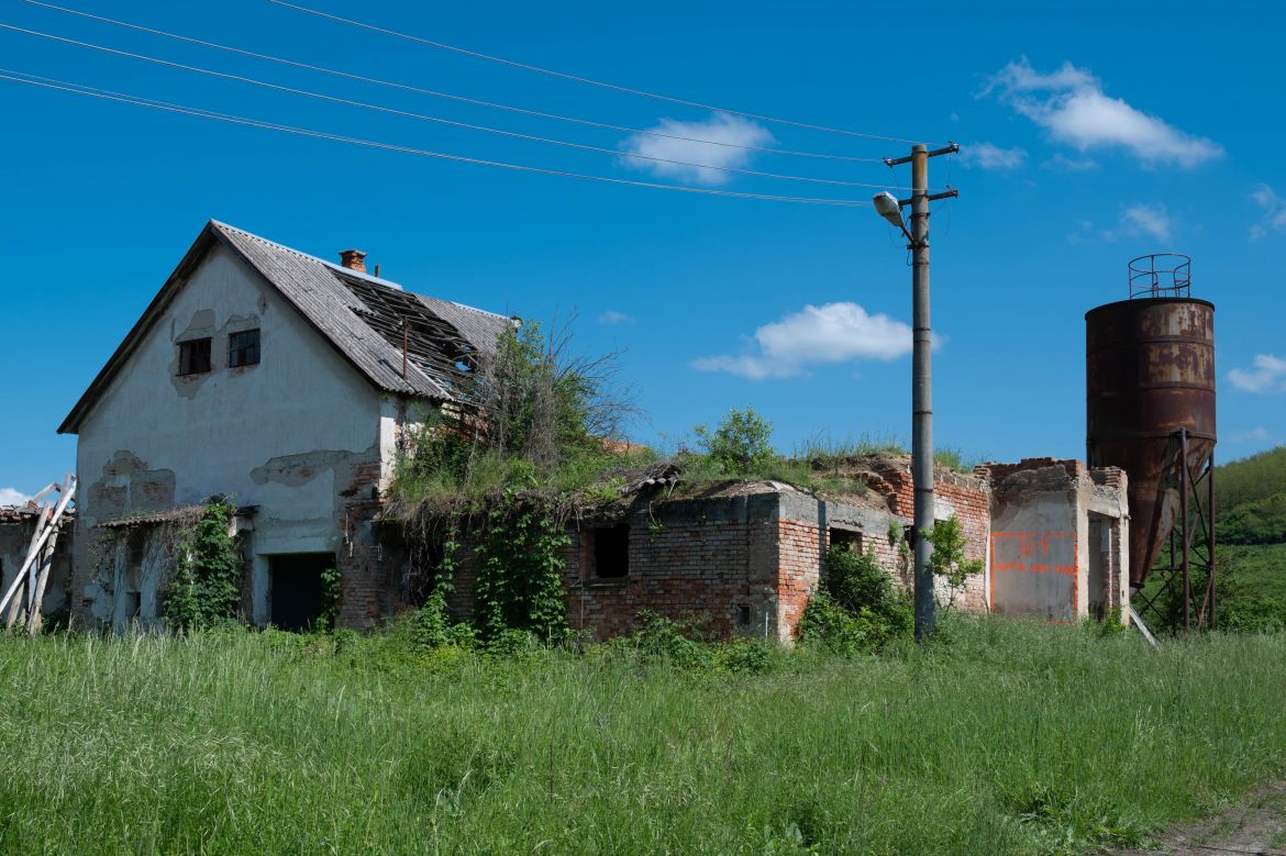 DSC_2004-2.JPG