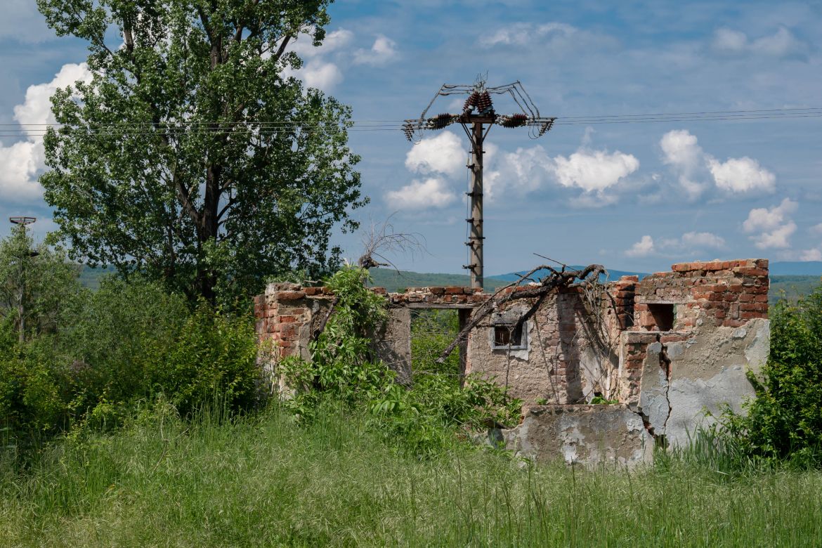 DSC_1988-2.JPG