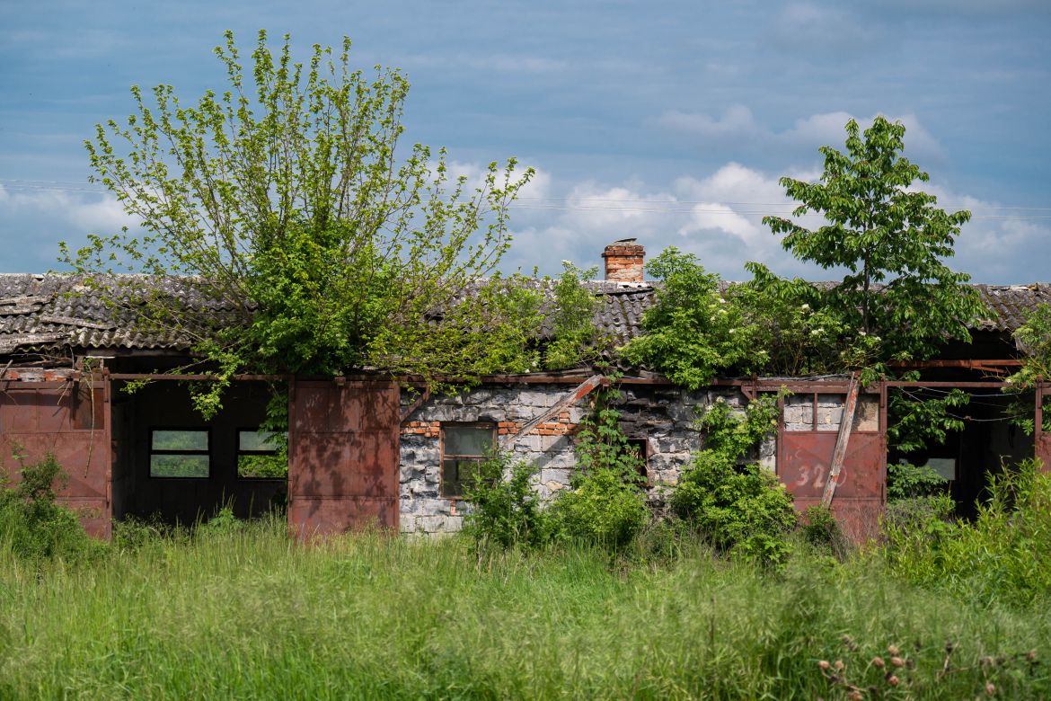 DSC_1934-2.JPG