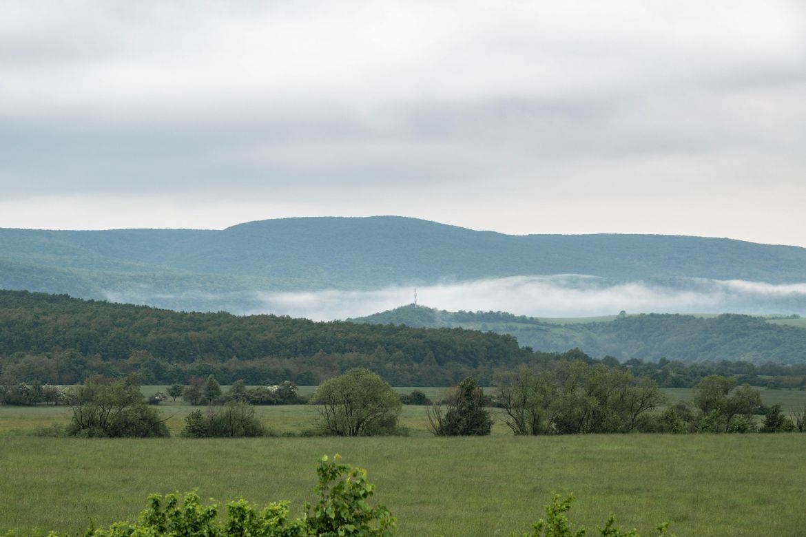 DSC_1713-2.JPG